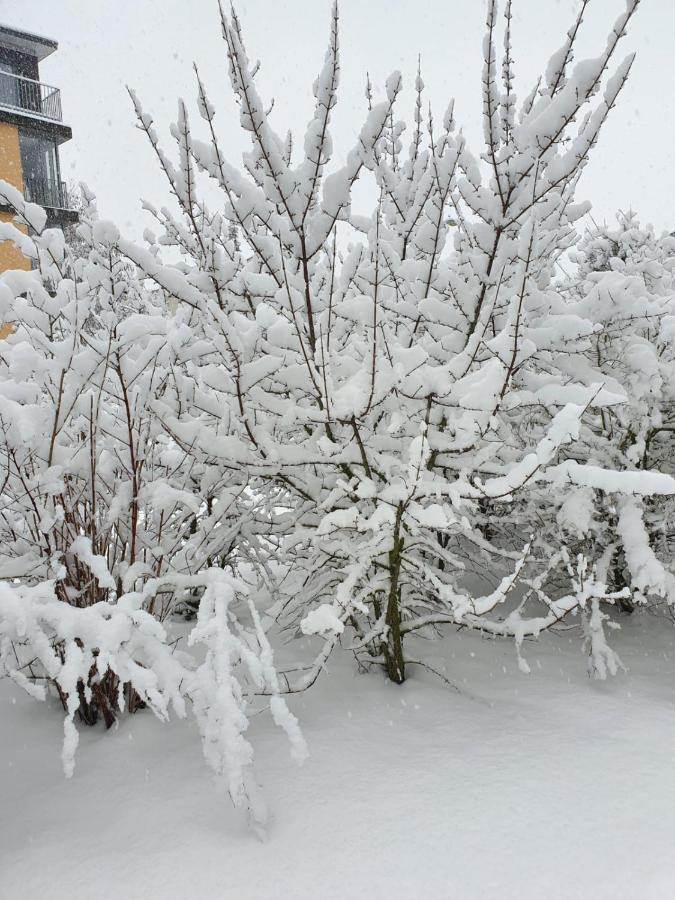 Wohnung Im Schwarzwald Mit Panorama Blick Kleines Wiesental Exterior photo