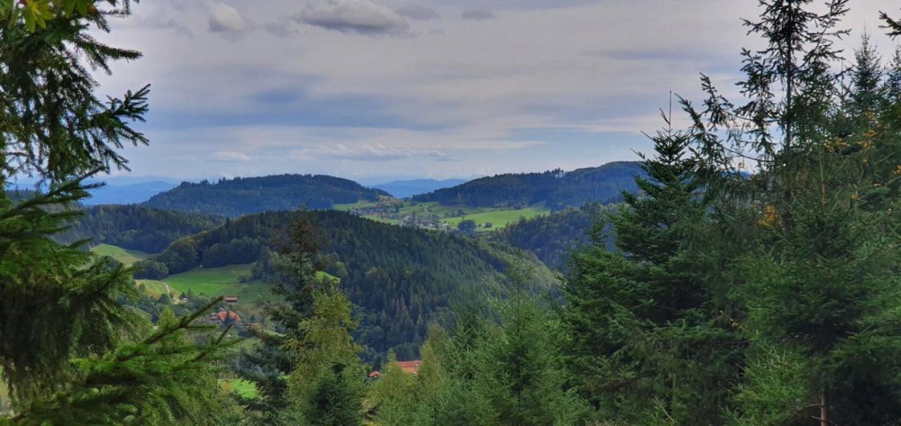 Wohnung Im Schwarzwald Mit Panorama Blick Kleines Wiesental Exterior photo