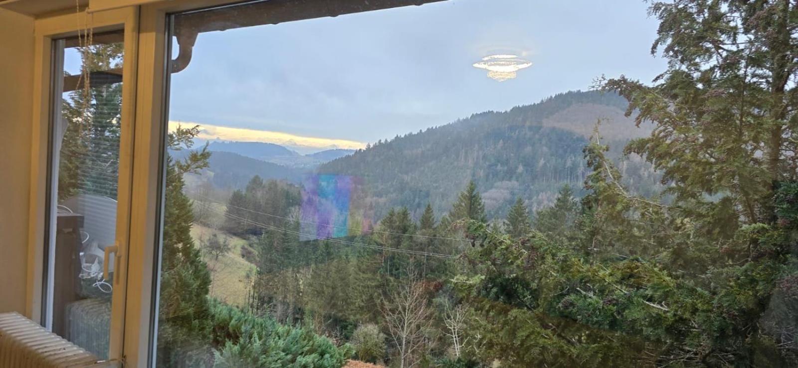 Wohnung Im Schwarzwald Mit Panorama Blick Kleines Wiesental Exterior photo