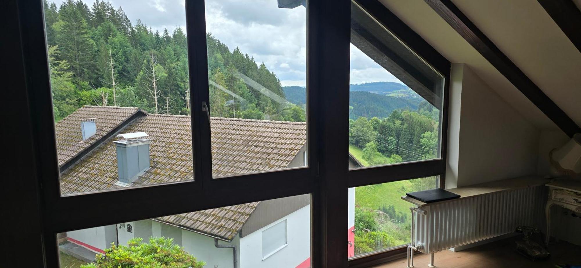 Wohnung Im Schwarzwald Mit Panorama Blick Kleines Wiesental Exterior photo